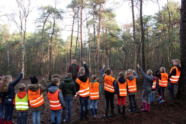 STIP Tour vertelt kids het verhaal van hout