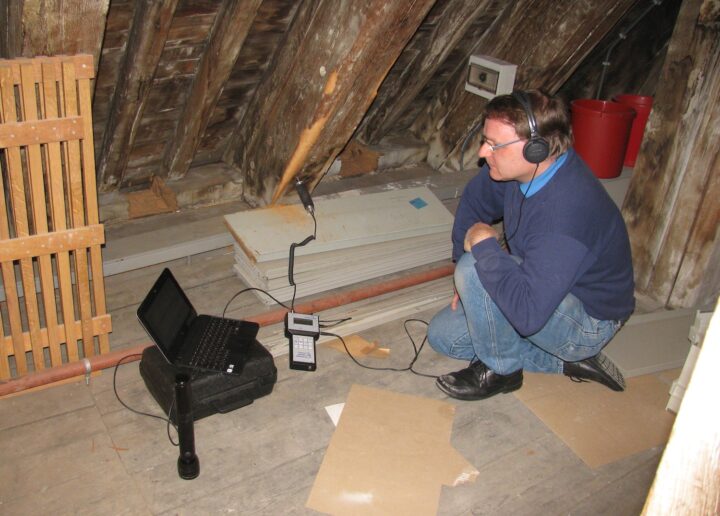 Museale wereld geïnteresseerd in Woodworm Detector van SHR