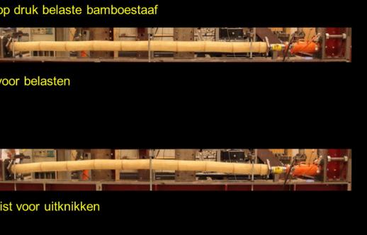 Bamboe in constructies