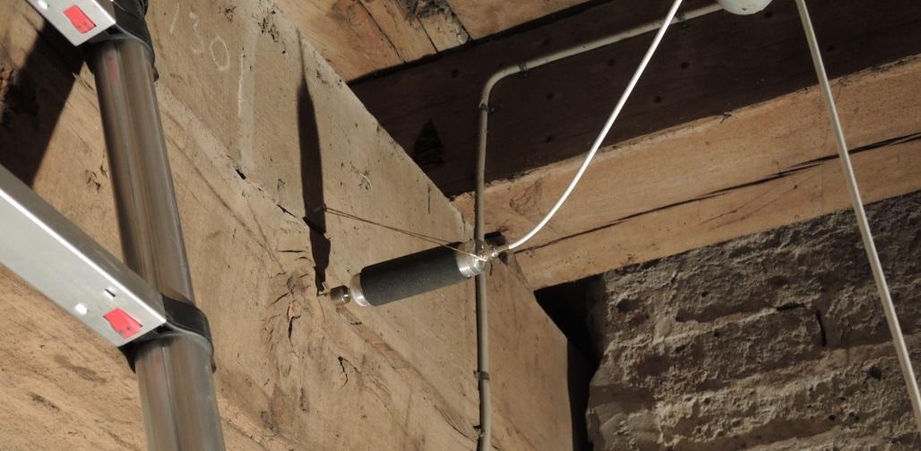bonte-knaagkever-in-hout-actief-of-niet-actief