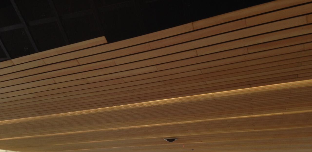 plafond-station-arnhem