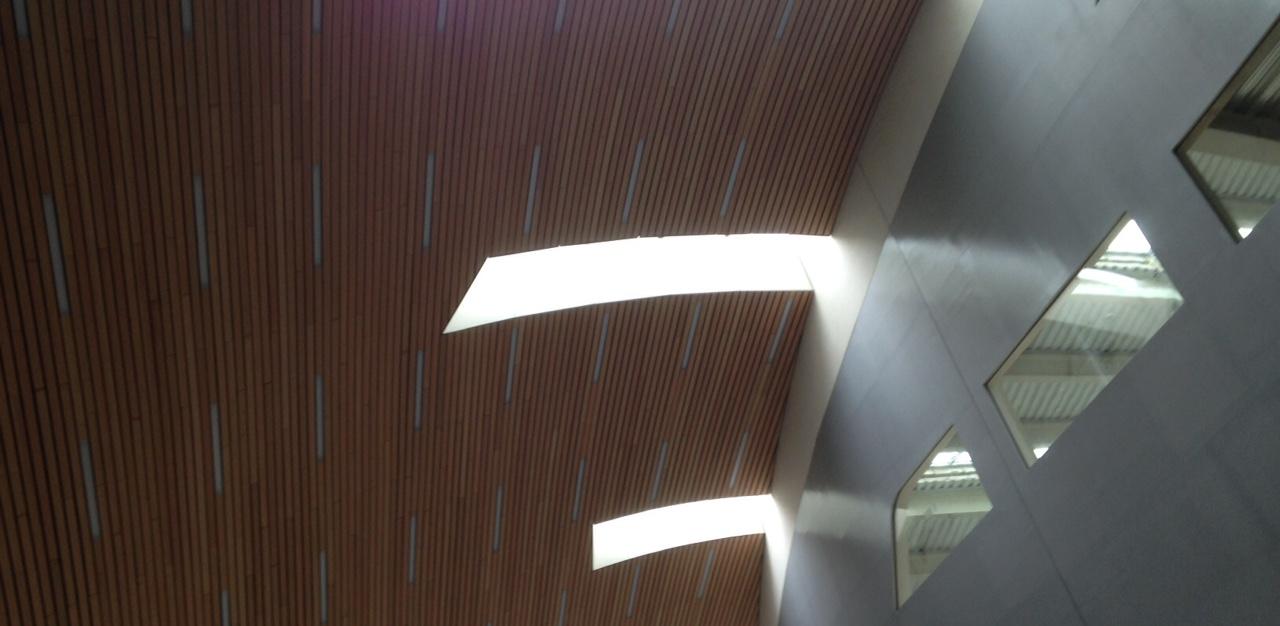 plafond-station-arnhem2